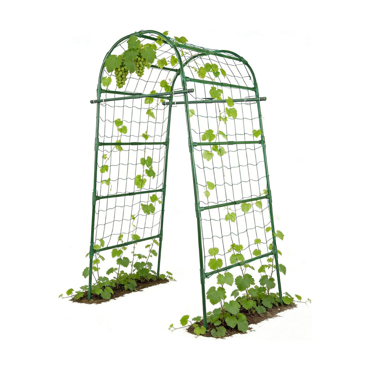Garden Arch Trellis for Climbing Plants Outdoor, 7 Ft Tall Cucumber Trellis | Cucumber Trellis for Raised Bed, Metal