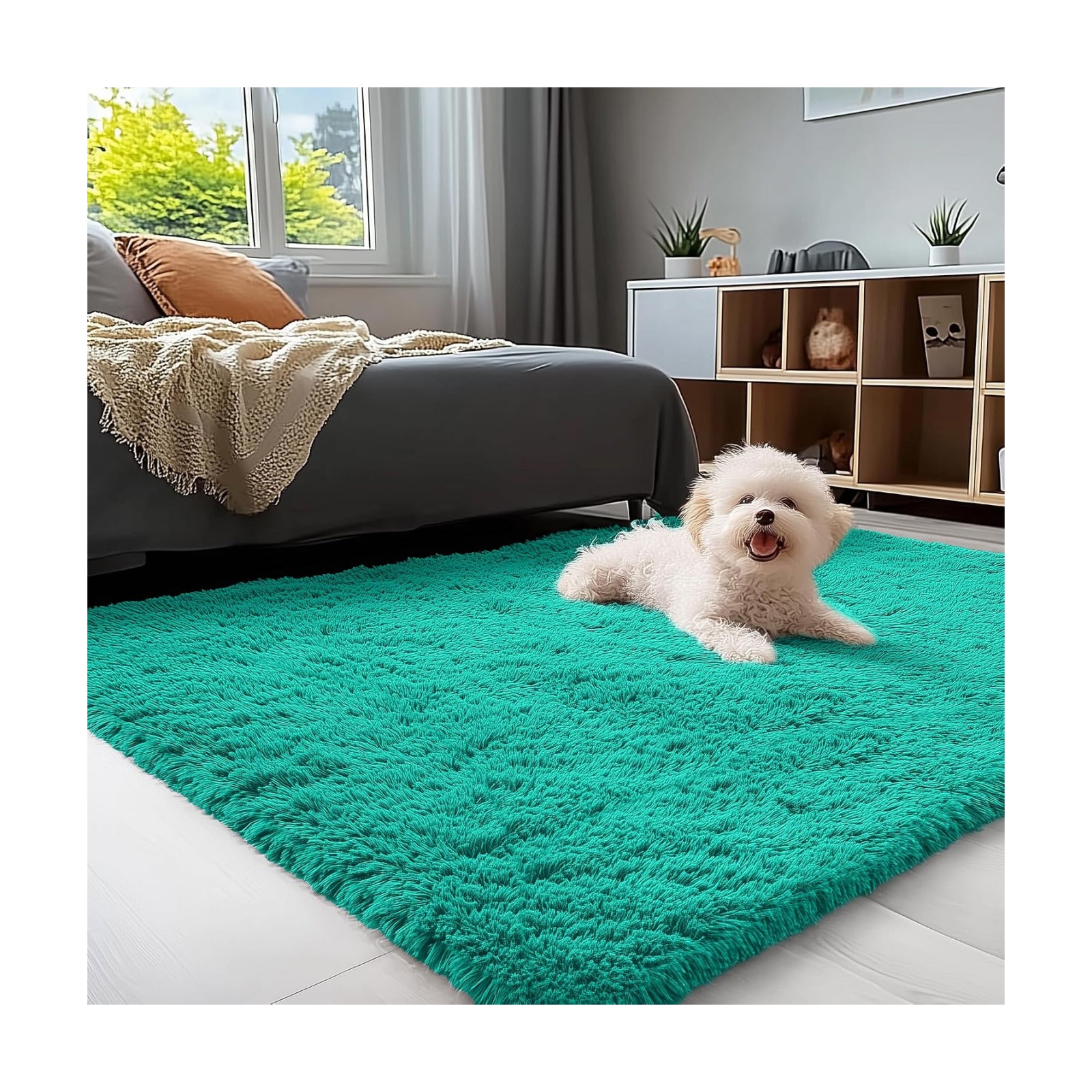 OLANLY 3x5 Machine Washable Small Bedside Rug, Soft Fluffy Shaggy Rugs for Living Room, Bedroom, Indoor Floor Carpet