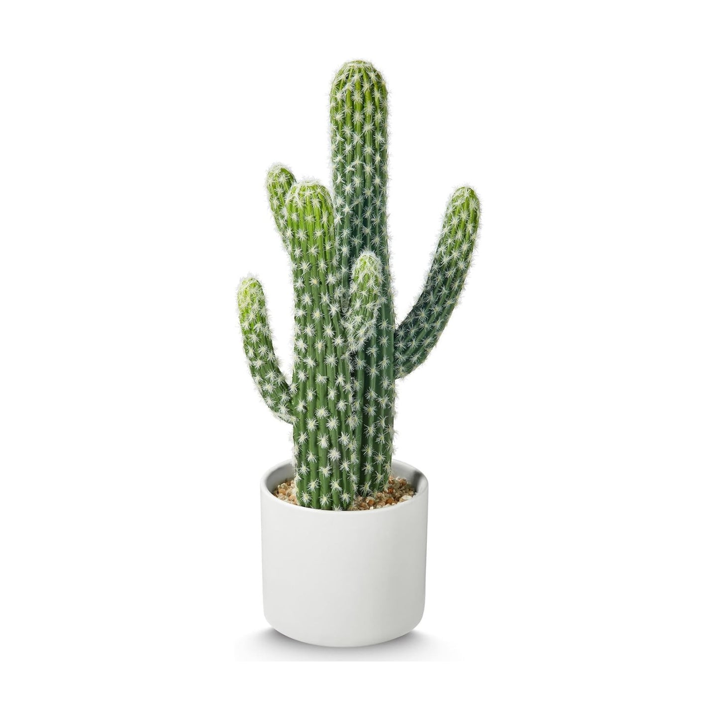 Artificial Cactus Plants / 15.35in