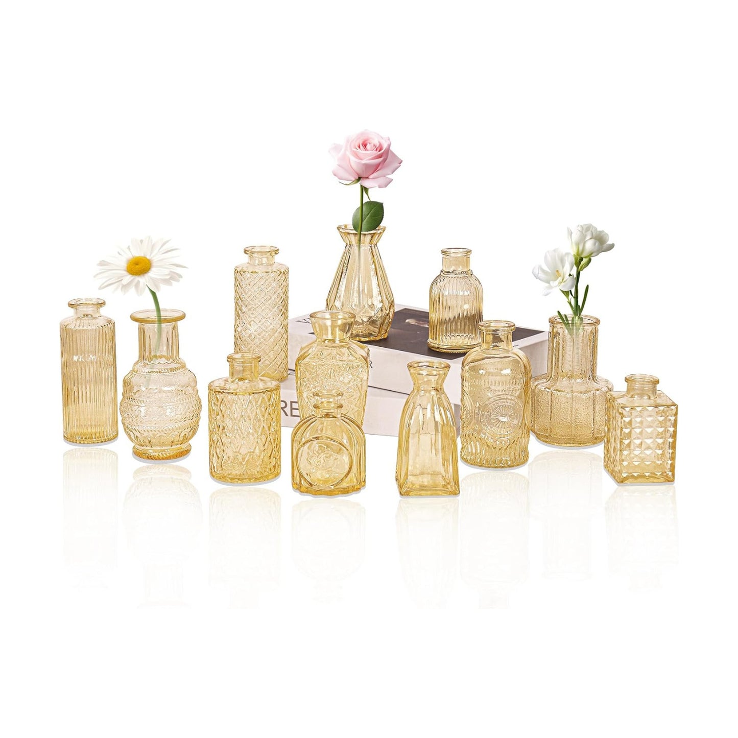 Glass Bud Vase Set / Champagne / Clear / Set of 12