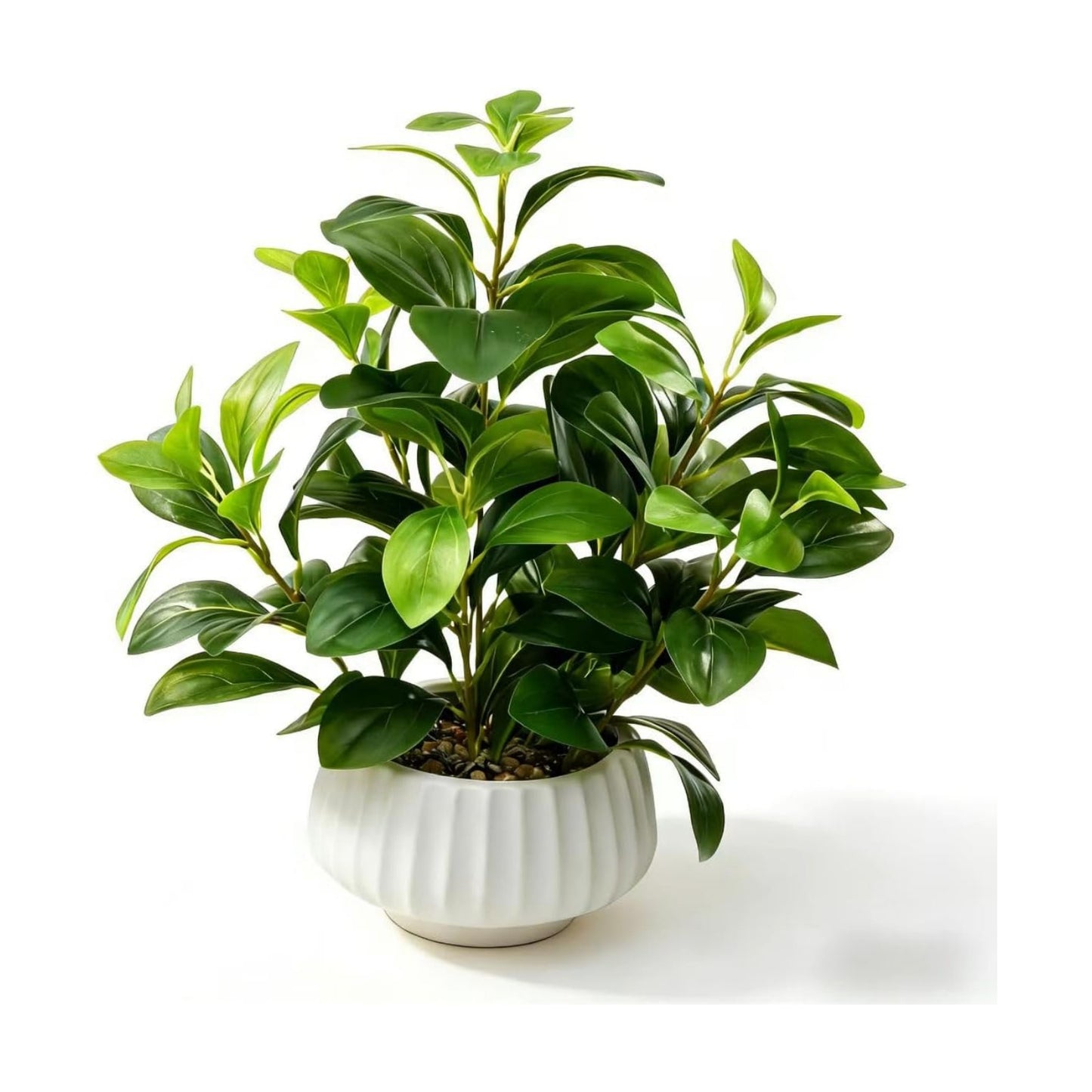 Artificial Peperomia Plants 16.5" Tall Lifelike Faux Greenery in 6" Ribbed Ceramic / Plant-b / White