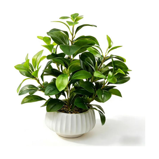 Artificial Peperomia Plants 16.5" Tall Lifelike Faux Greenery in 6" Ribbed Ceramic / Plant-b / White