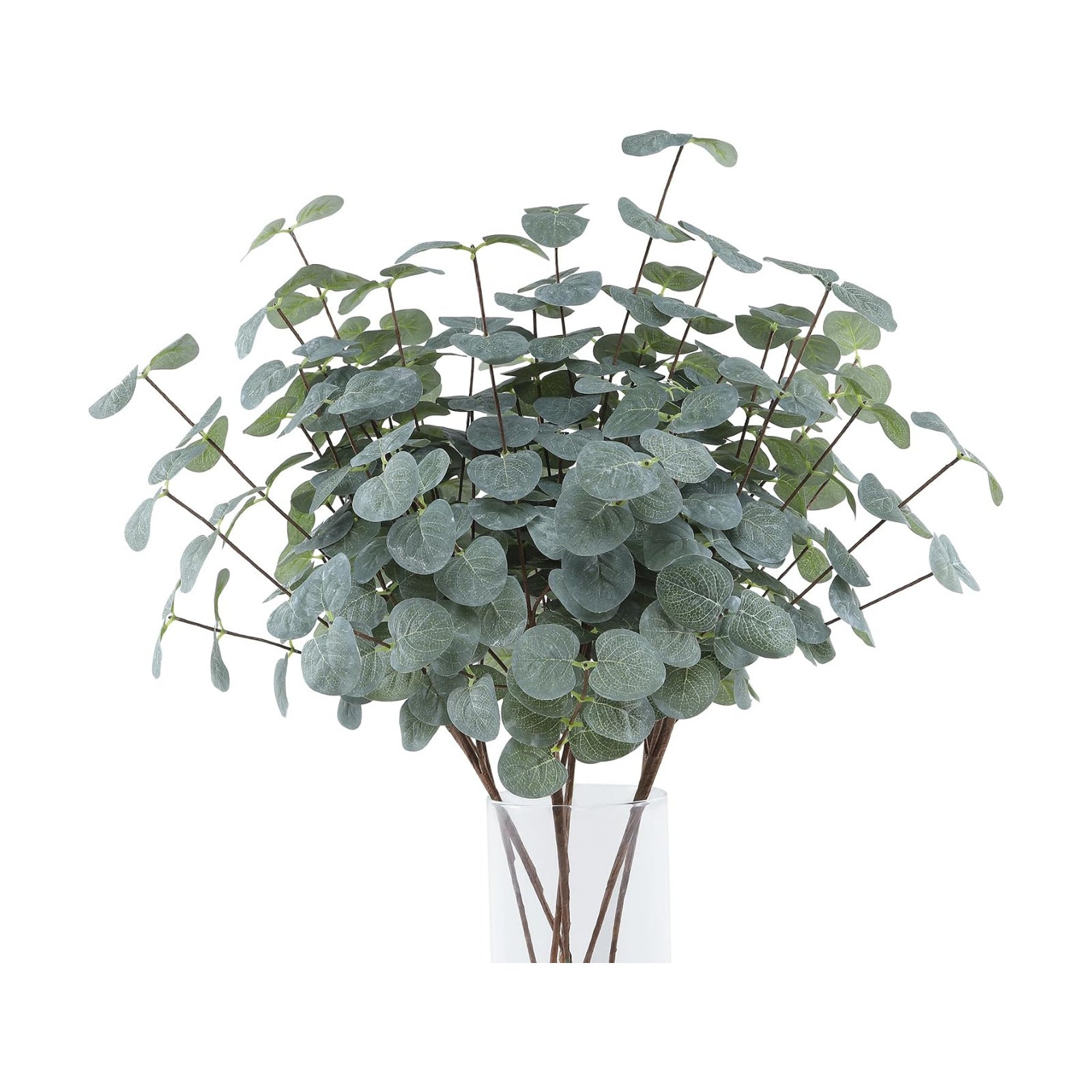 Faux Silk Silver Dollars Eucalyptus Stems Fake Greenery Plants for Vase Home / Gray Green / Set of 5