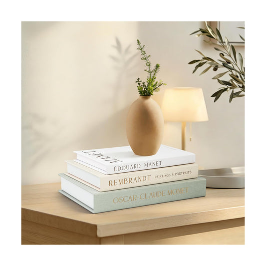 Faux Books for Decoration / Set of 3