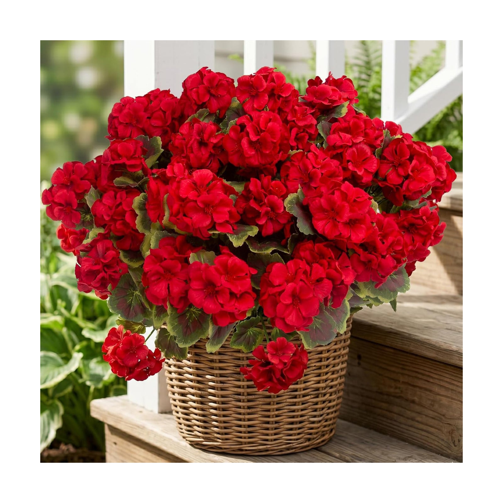 Artificial Geranium Plant Realistic Silk Flowers for Outside UV Resistant Faux / Red / Set of 8