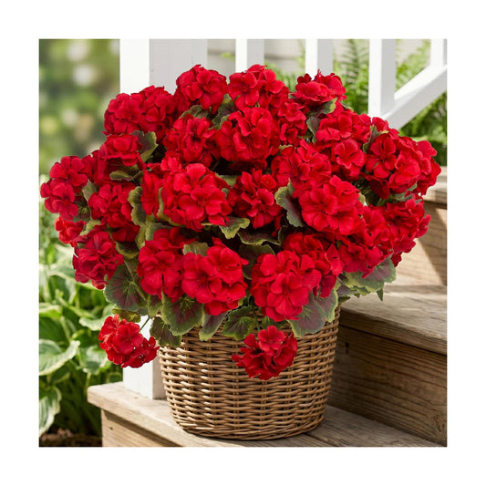 Artificial Geranium Plant Realistic Silk Flowers for Outside UV Resistant Faux / Red / Set of 8