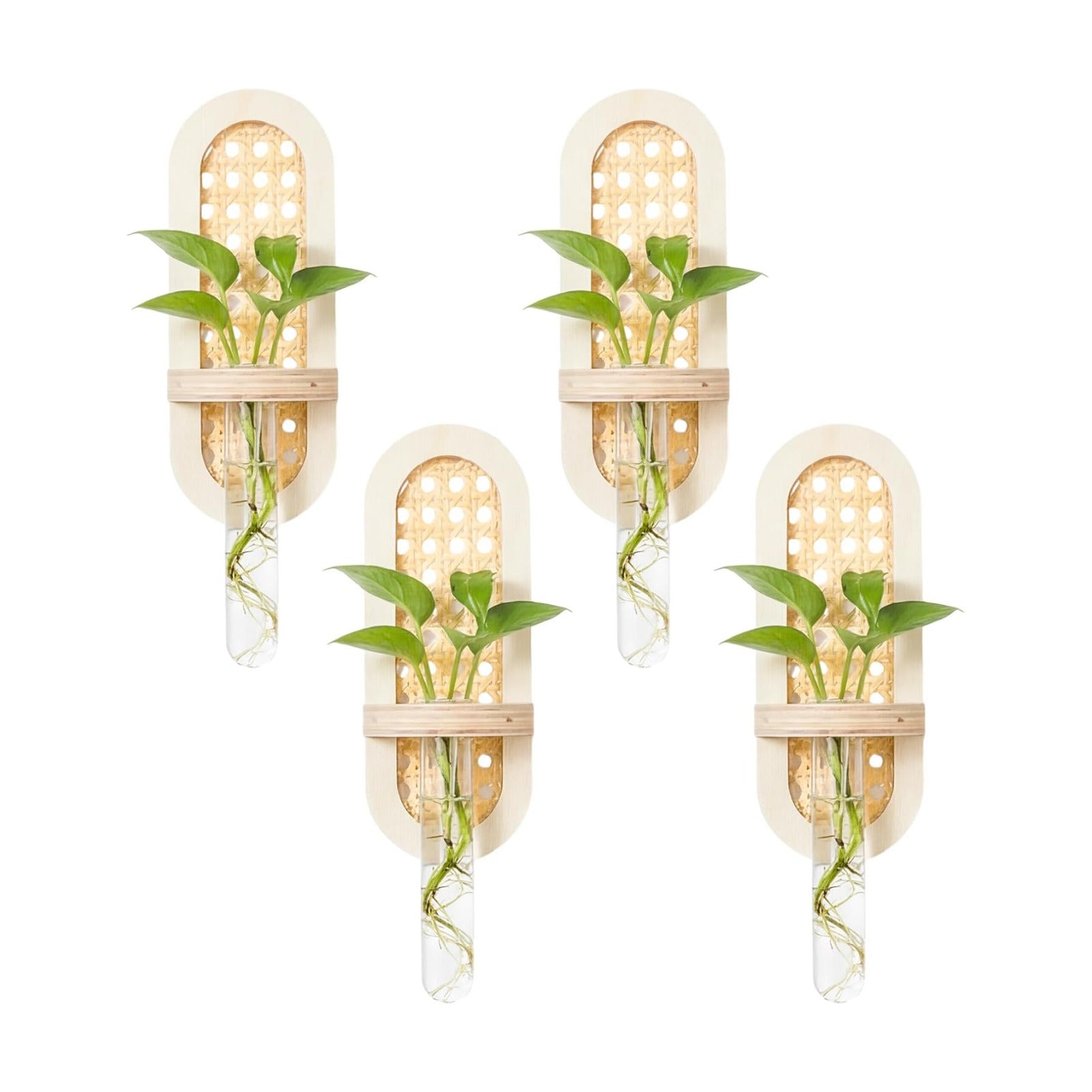 Wooden Rattan Wall Propagation Vases Wood Wall Vase Set Boho Hanging / Natural / 8 Inch / Set of 4