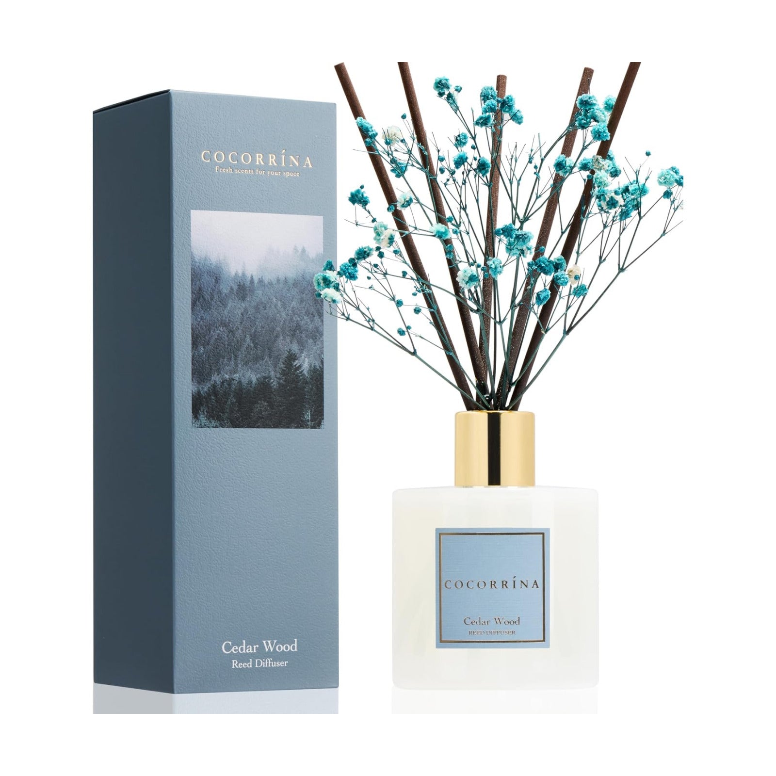 COCORRÍNA Reed Diffuser - Cedar Wood 6.7 fl oz Reed Diffuser with Sticks, Home Bedrrom Bathroom Shelf Decor