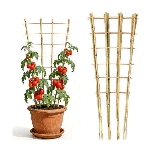 4 Feet Natural Bamboo Trellis 3 Pack, Oltara Fan-Shaped Plant Support Trellis for Outdoor and Indoor Climbing Plants