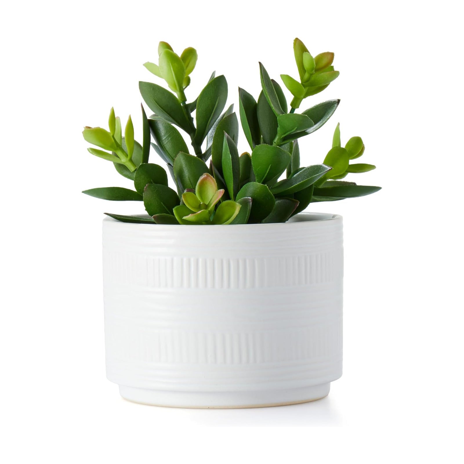 Artificial Plant in Matte Ceramic Pot / White