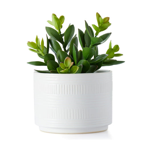 Artificial Plant in Matte Ceramic Pot / White