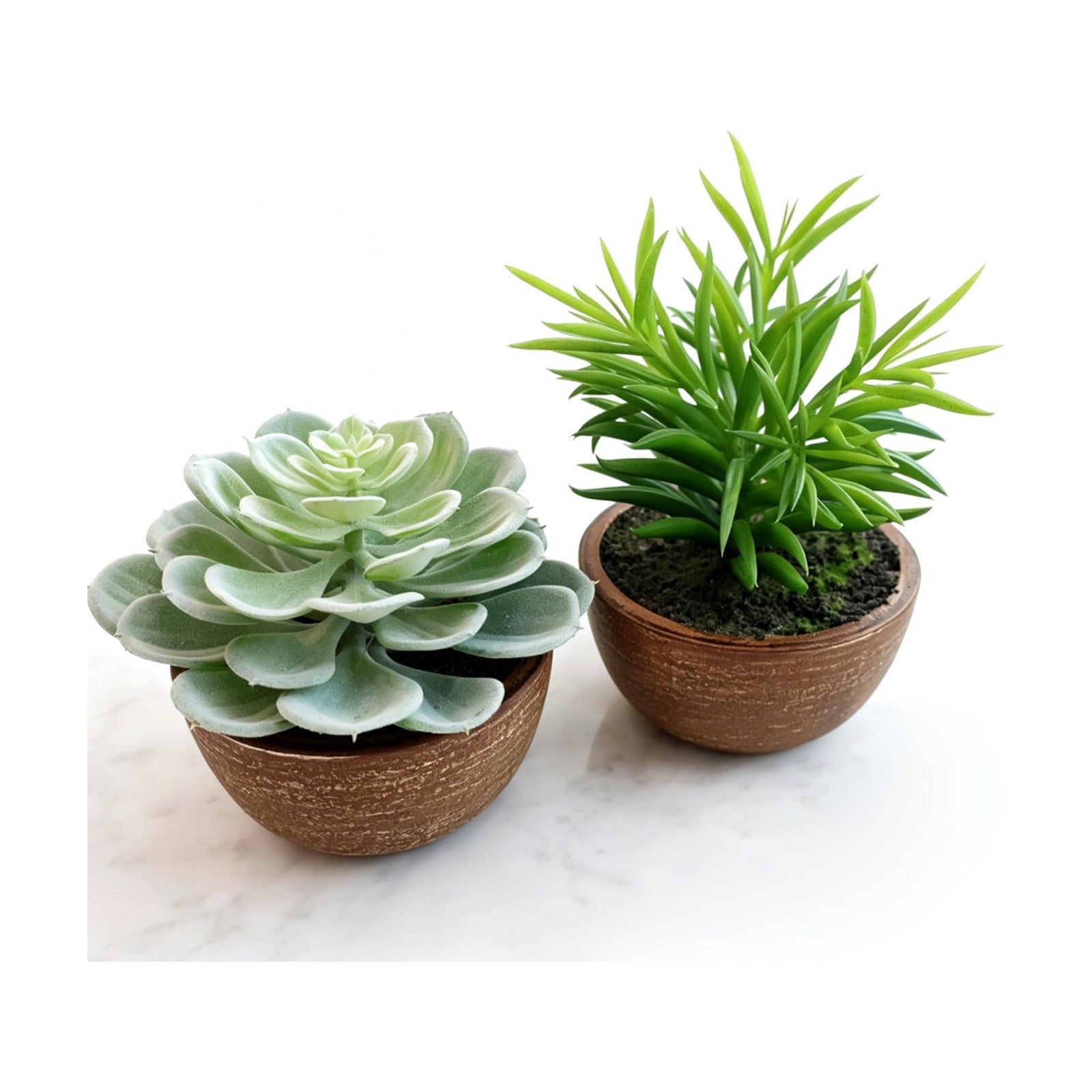 Artificial Succulents Plastic Artificial Plant / Succlents In Pots / Green / Set of 2