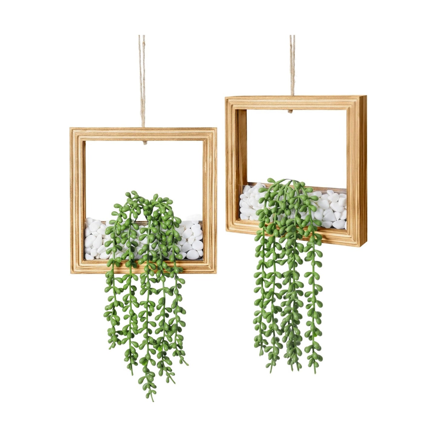 Artificial Succulents Plants in Square Wooden Frame / Burnt Wood / Set of 2