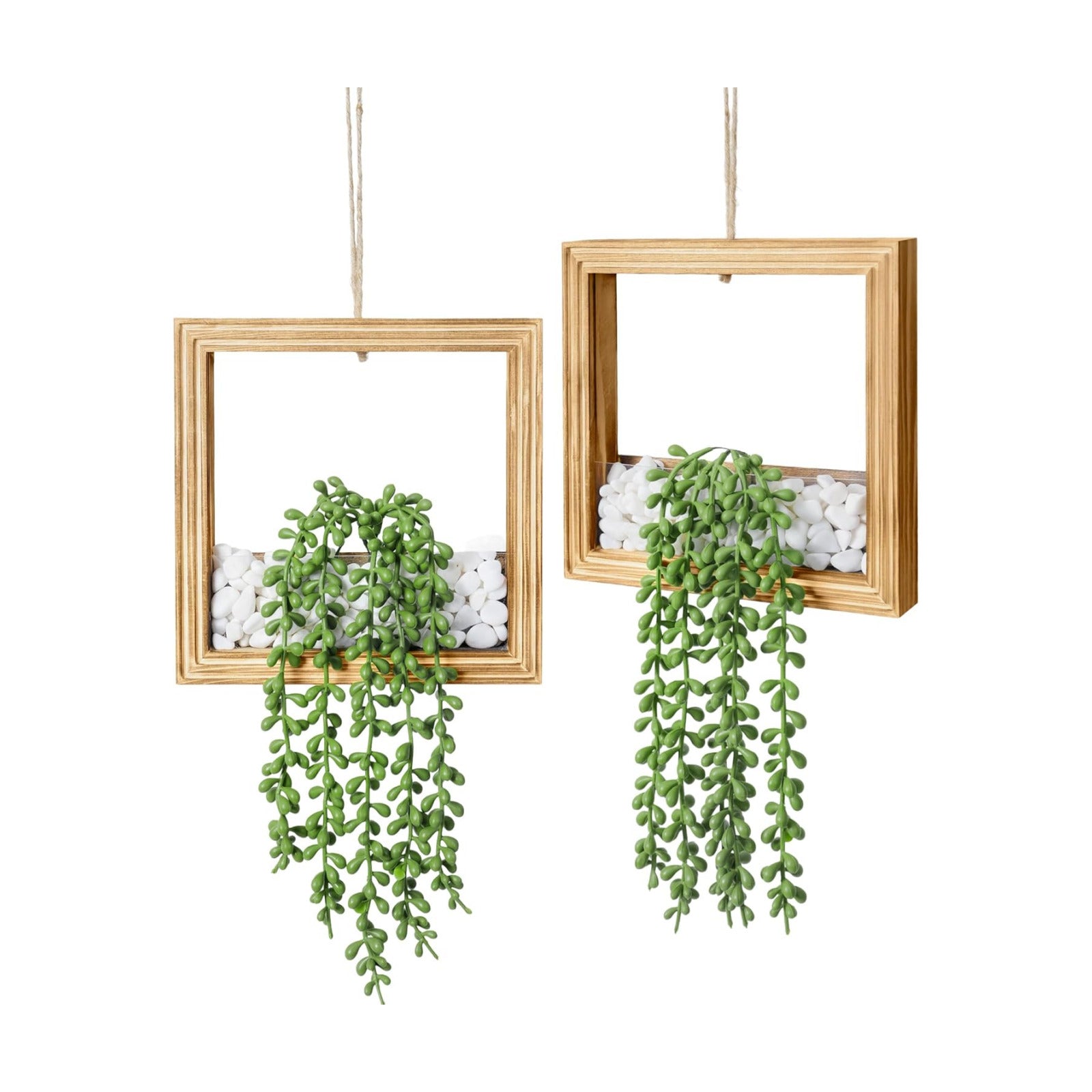Artificial Succulents Plants in Square Wooden Frame / Burnt Wood / Set of 2