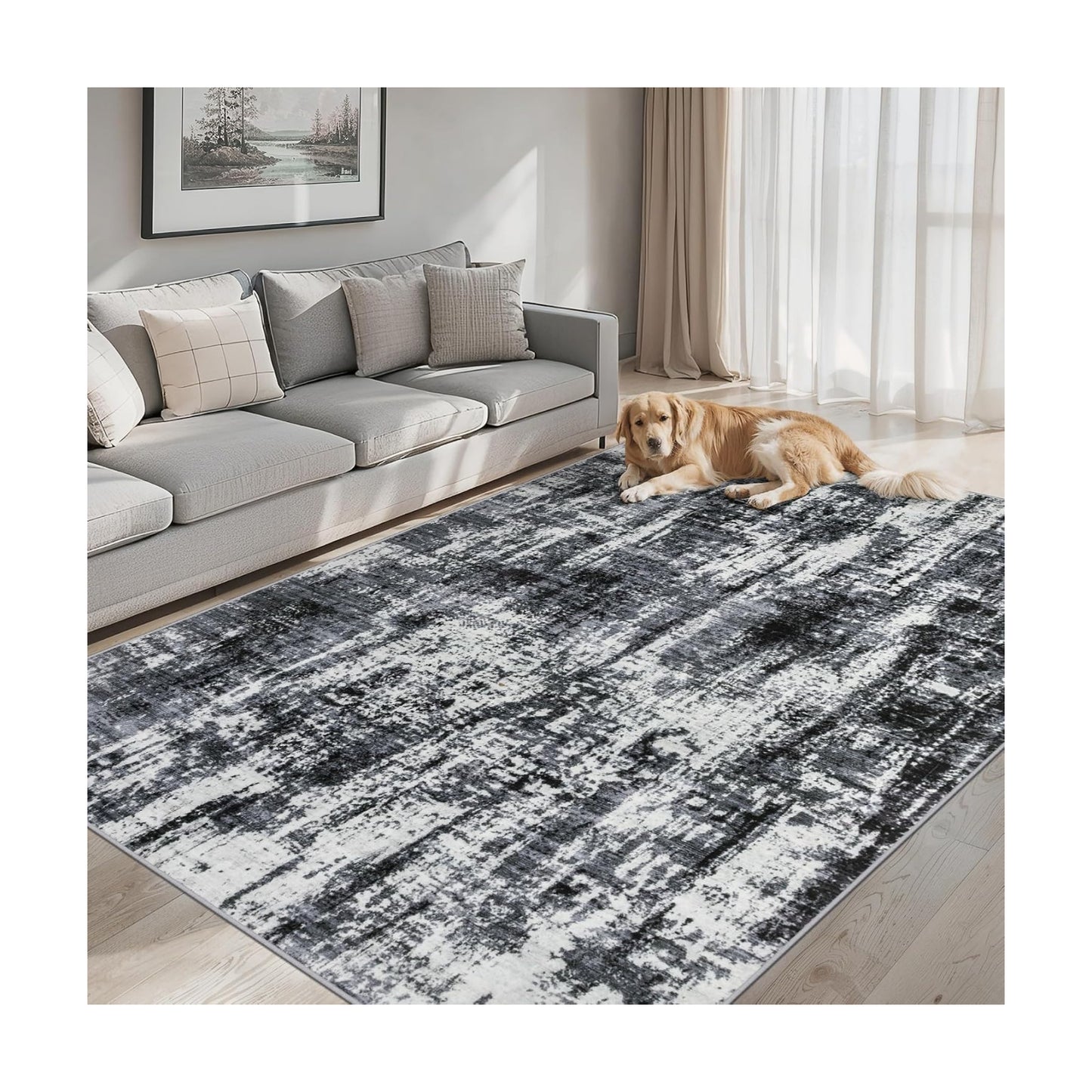 PLHXFR Area Rug Living Room: 5x7 Modern Abstract Washable Carpet Black