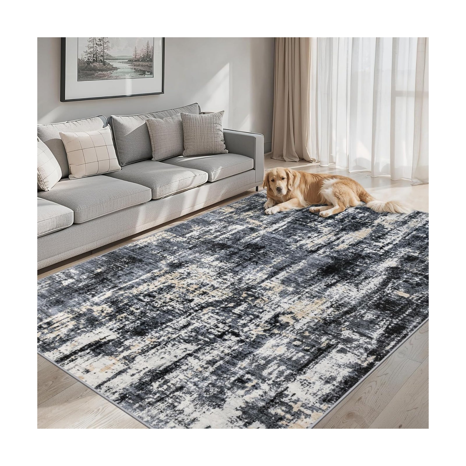 PLHXFR Area Rug Living Room: 4x6 Abstract Washable Carpet Black Gold