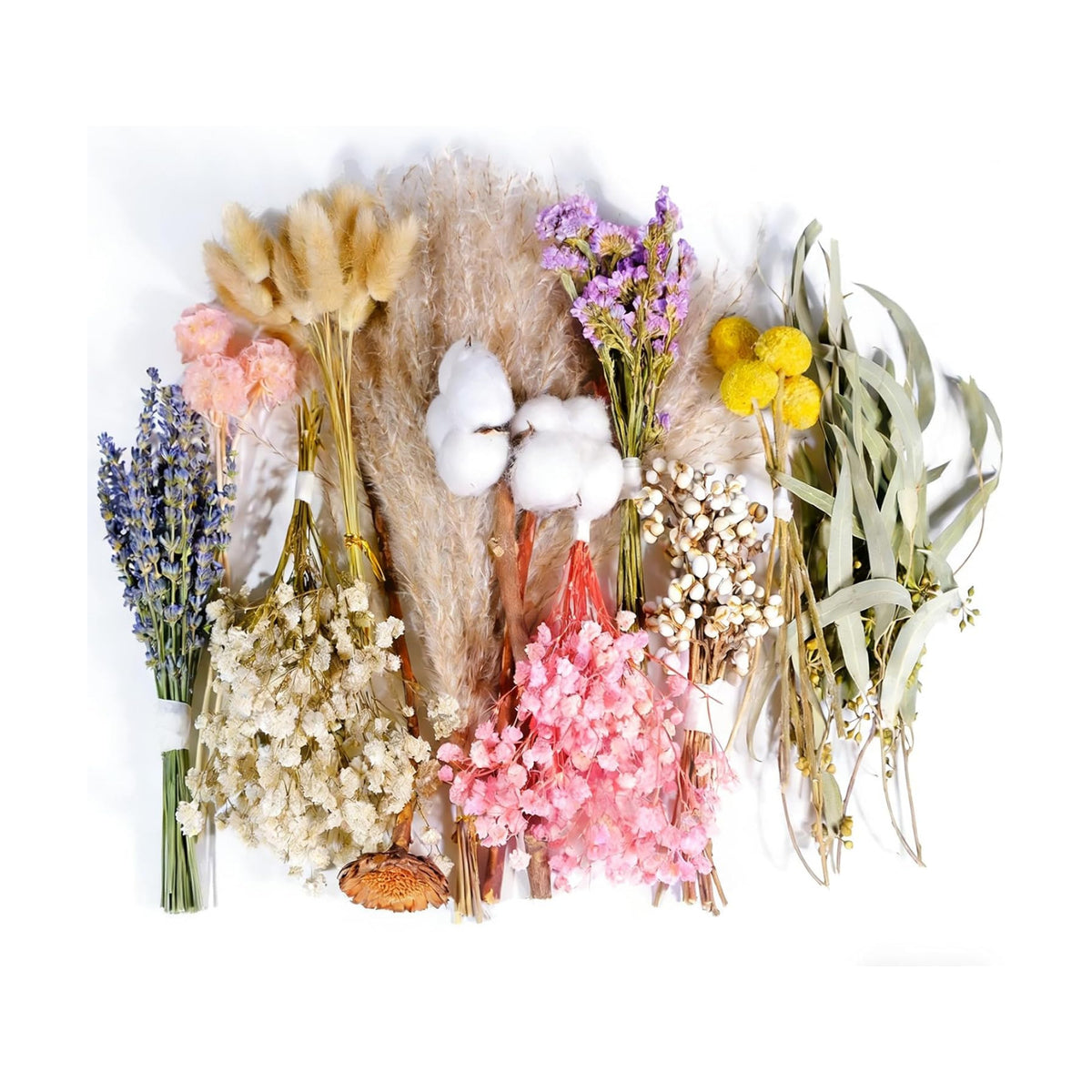 12 Kinds Natural Dried Flower Set, Bulk Dried Flowers for Vase,Mini Dried Flower Bouquets,Dried Flowers with Stems for DIY Crafts, Vase Decor,Home/Wedding/Birthday Decor(8.7-13.8in Flexible Stems)