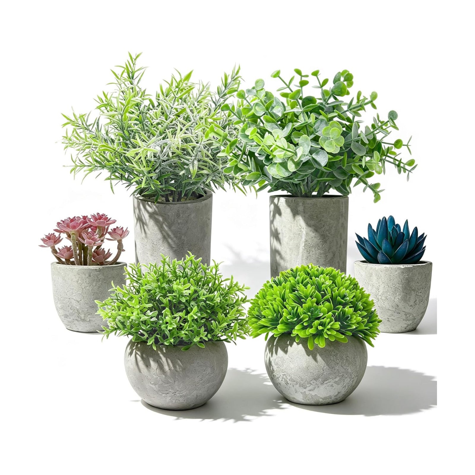 Artificial Plants Indoor Eucalyptus/Four-Leaf Clover/Succulent Light /Succulent / Purple / Set of 6