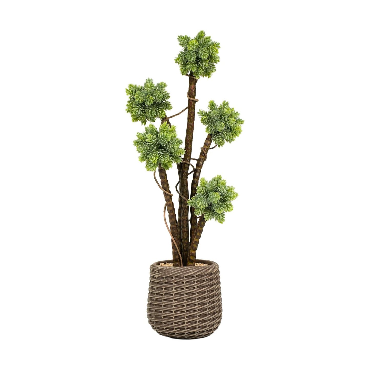 Artificial Plant / Large Faux Floor Plant / Succulents / Brown / 2.5 Inch / Set of 30