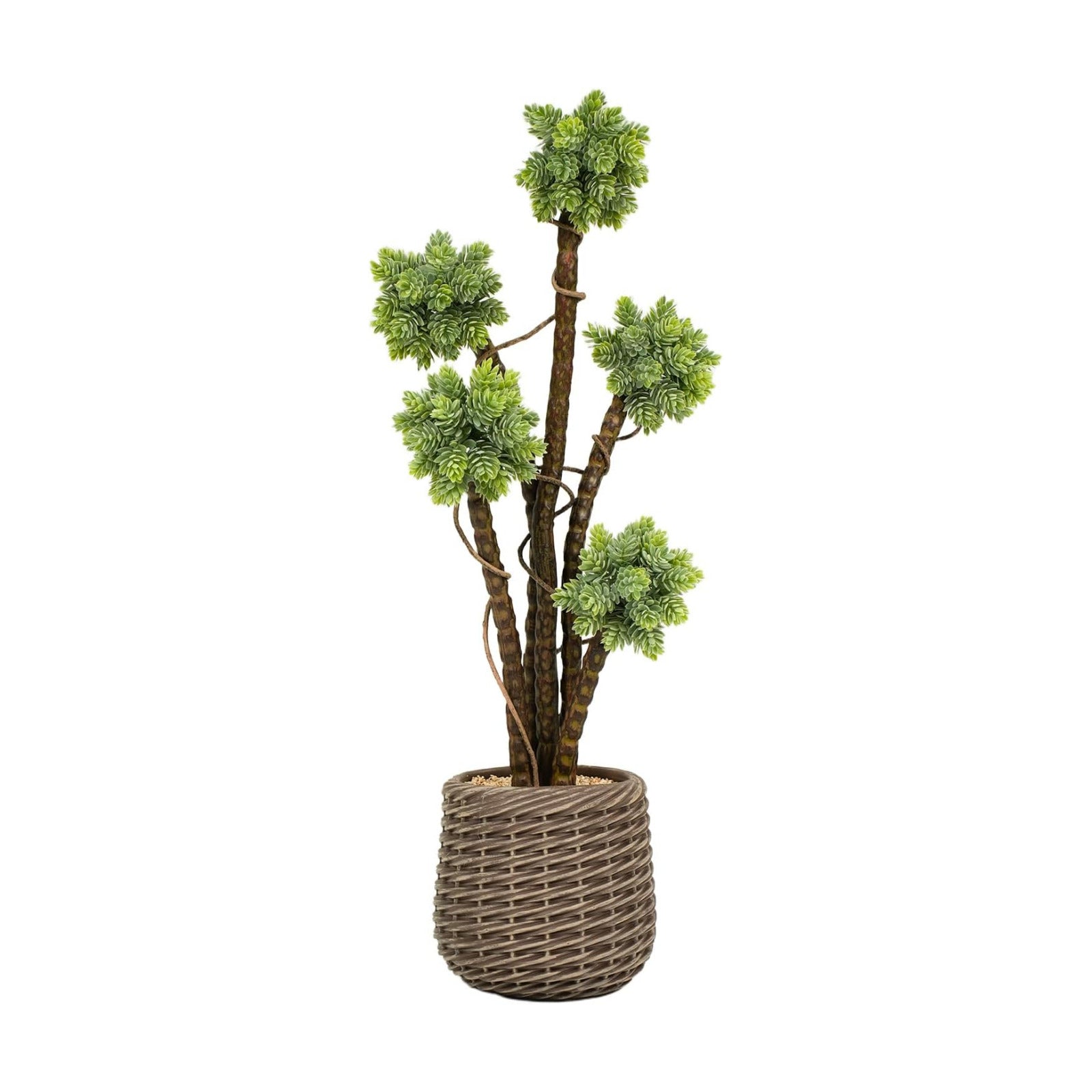 Artificial Plant / Large Faux Floor Plant / Succulents / Brown / 2.5 Inch / Set of 30