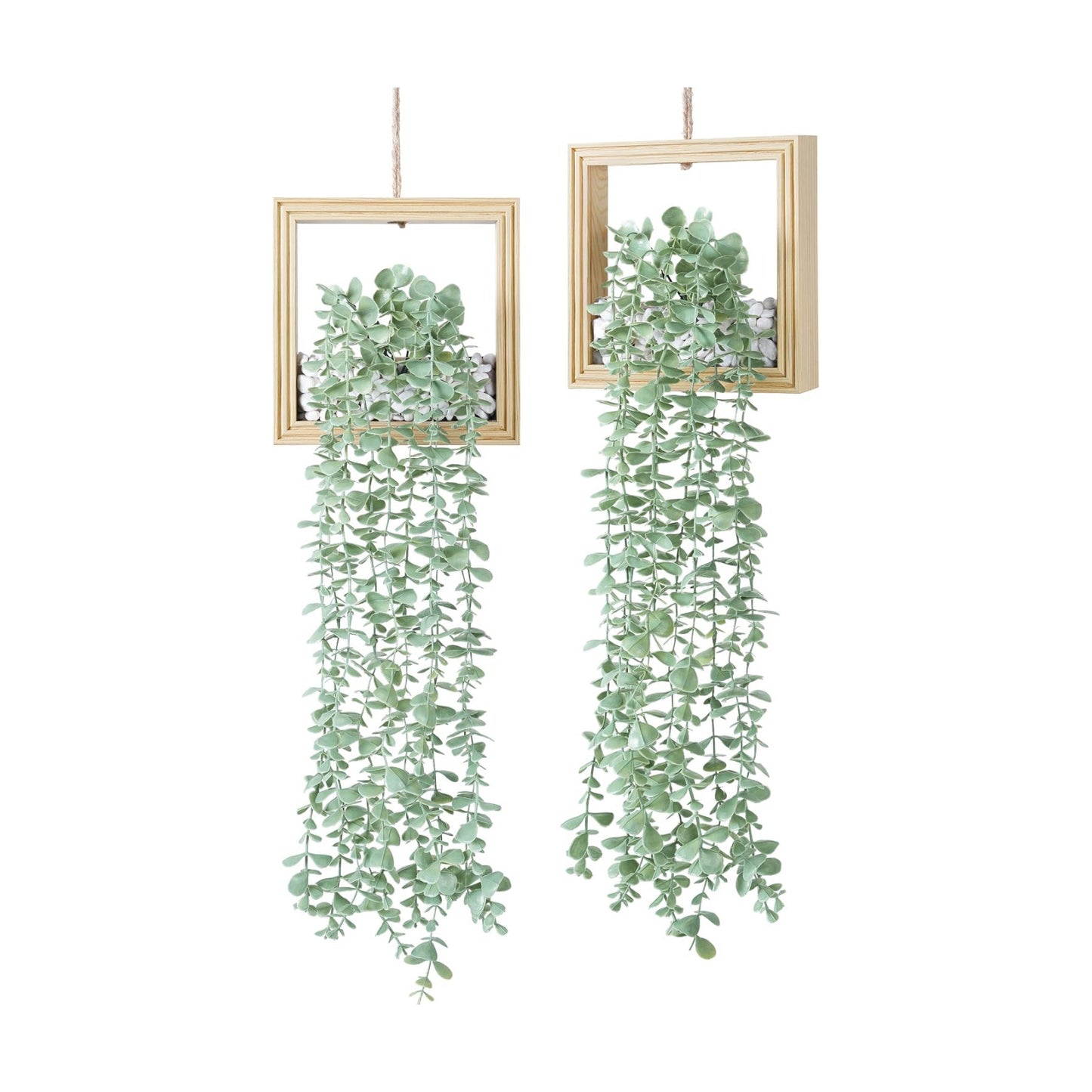 Artificial Eucalyptus Vines in Square Wooden Frame / 7.8" Natural / Set of 2