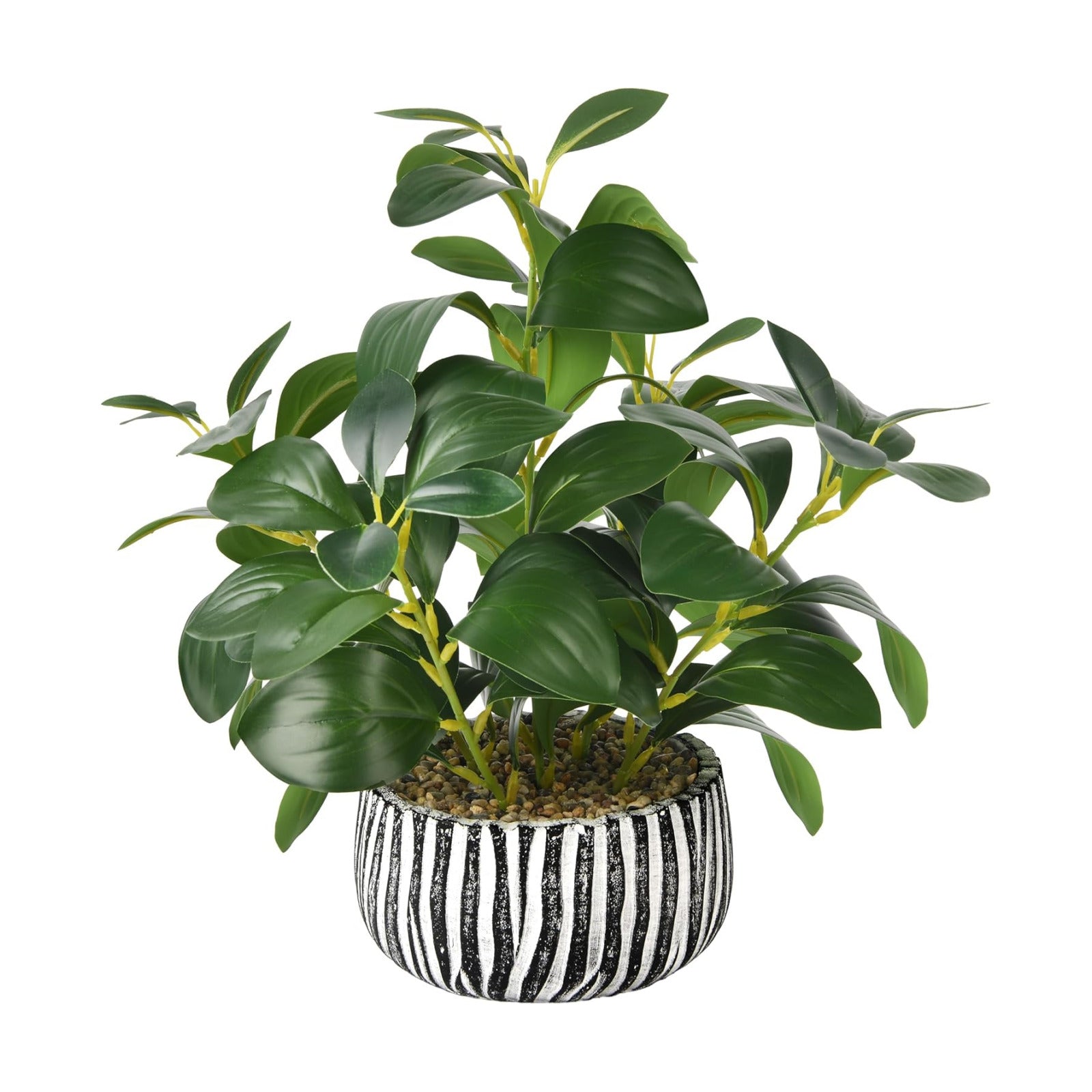 Fig Leaf Greenery in Rustic Clay Planter / White & Black Cement Planter