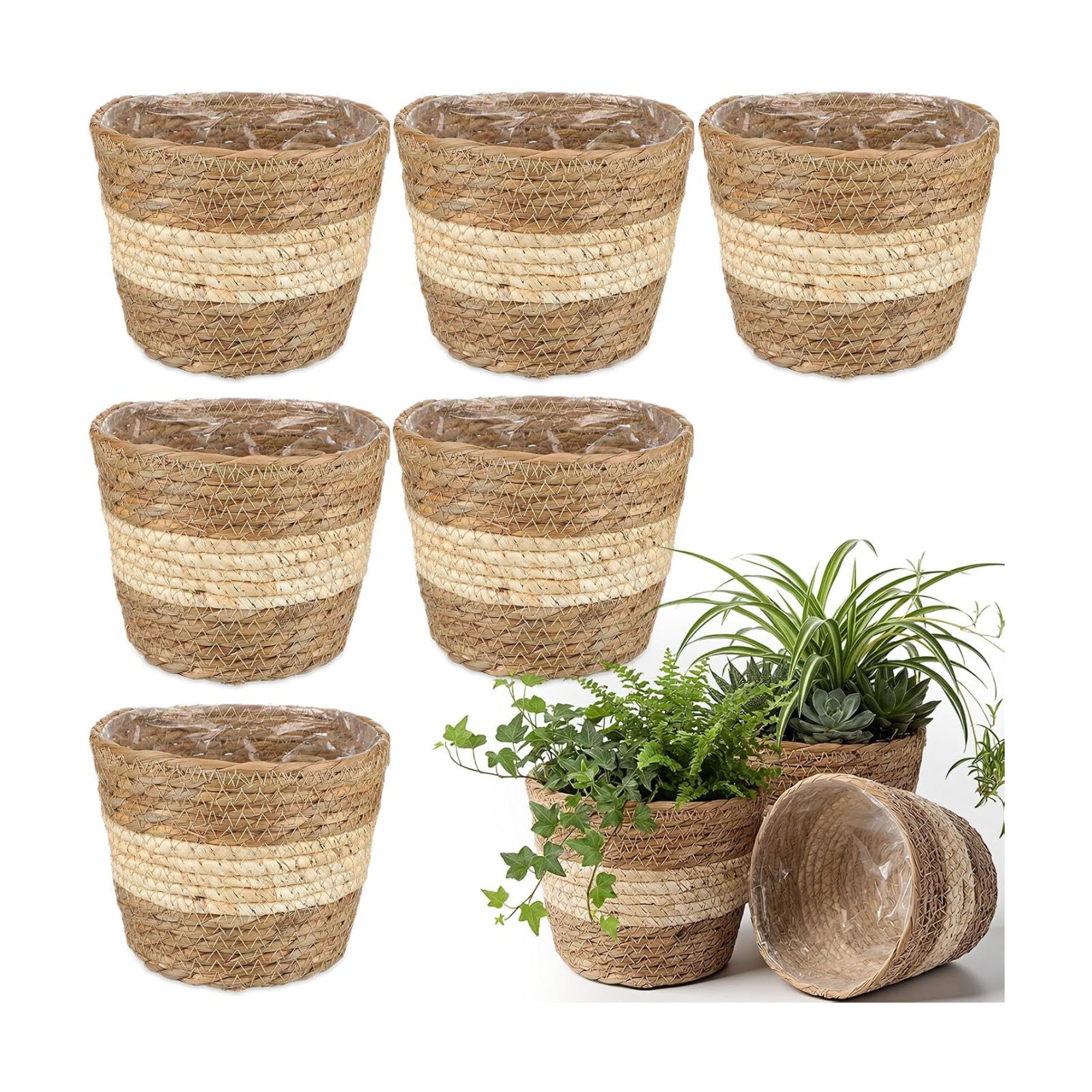 Wicker Plant Basket Bulk / Small / Bohemian / Set of 6