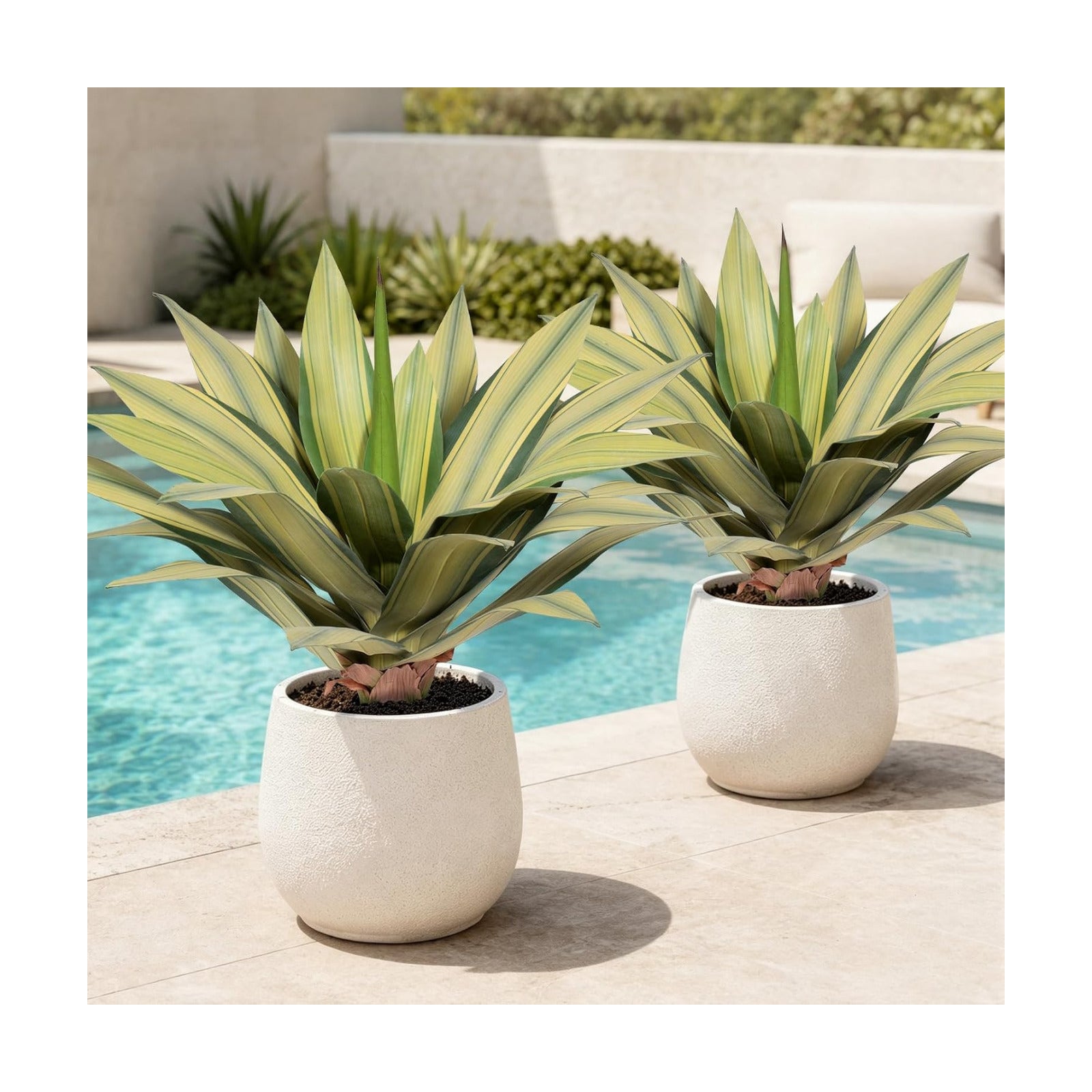 Artificial Plant Outdoor 22" Tall / Agave / Set of 22
