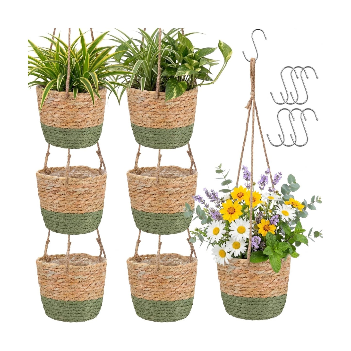 Seagrass Hanging Planter Basket Hand Woven Plant Basket / Brown, Green / Small / Set of 6