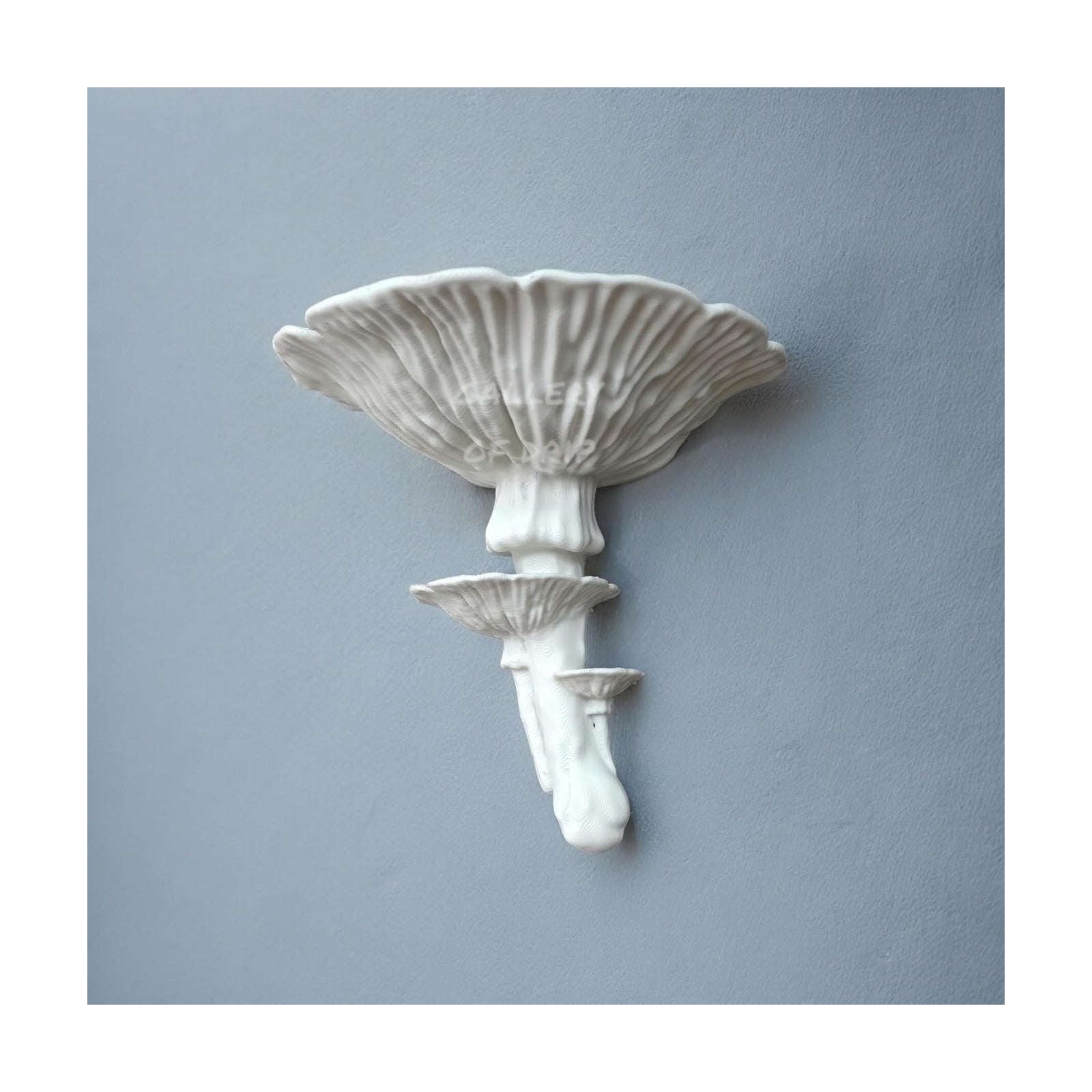 Amanita Mushroom Floating Shelf / White