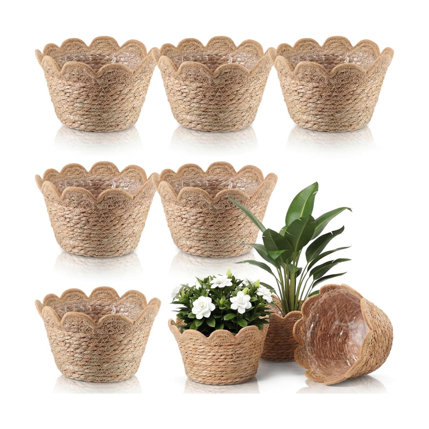 Scalloped Seagrass Plant Basket / Medium / Set of 6