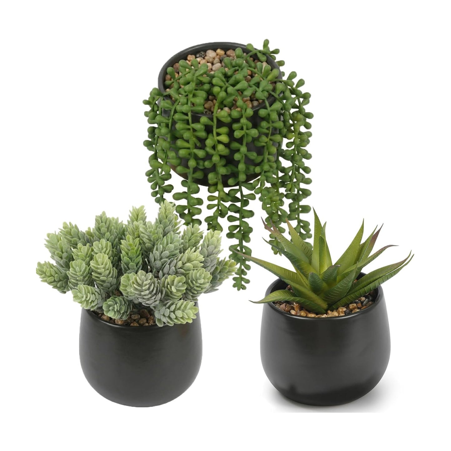 Artificial Succulents Plants in Pots / Black / Set of 3