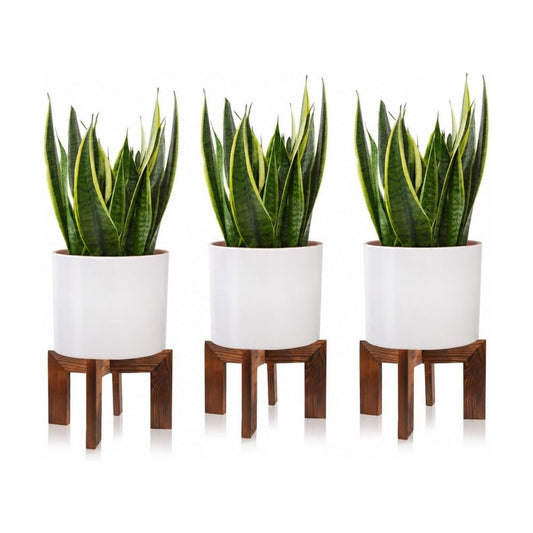 Gendral Forwepup 3 Pack wood Plant stand, Mid Century Modern Planter Stand Rattan Flower Pot Stand, Low Short Plant