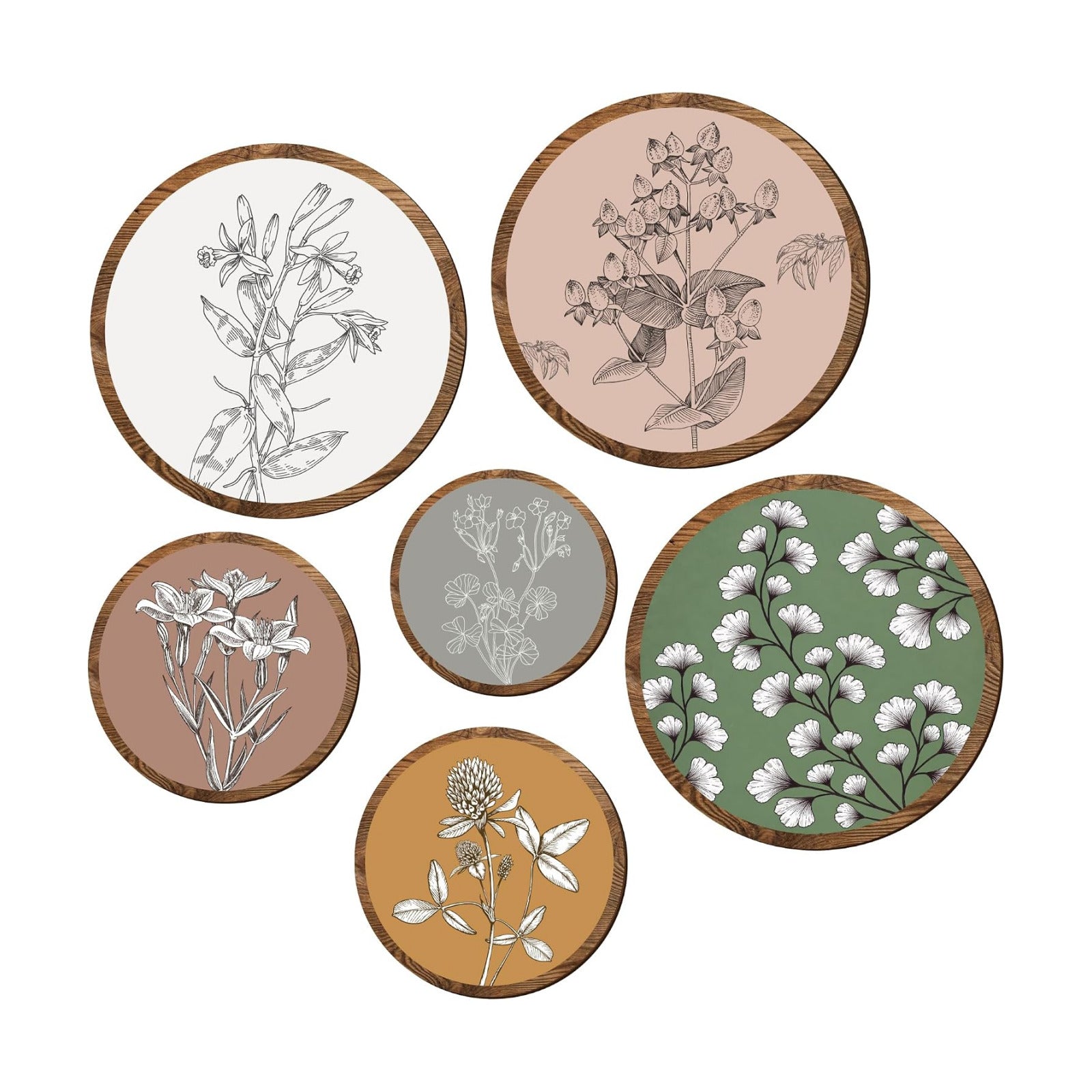 Bohemian Plant Art Wall Decor / Botanical / Set of 6