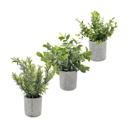 Small Eucalyptus Artificial Plants Indoor Greenery / Set of 3