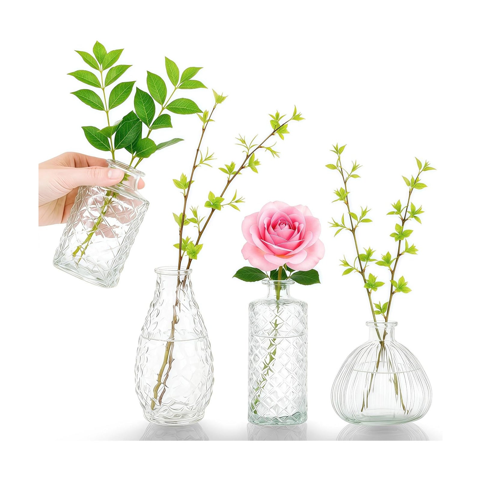 Glass Bud Vases / A / Clear / Set of 4