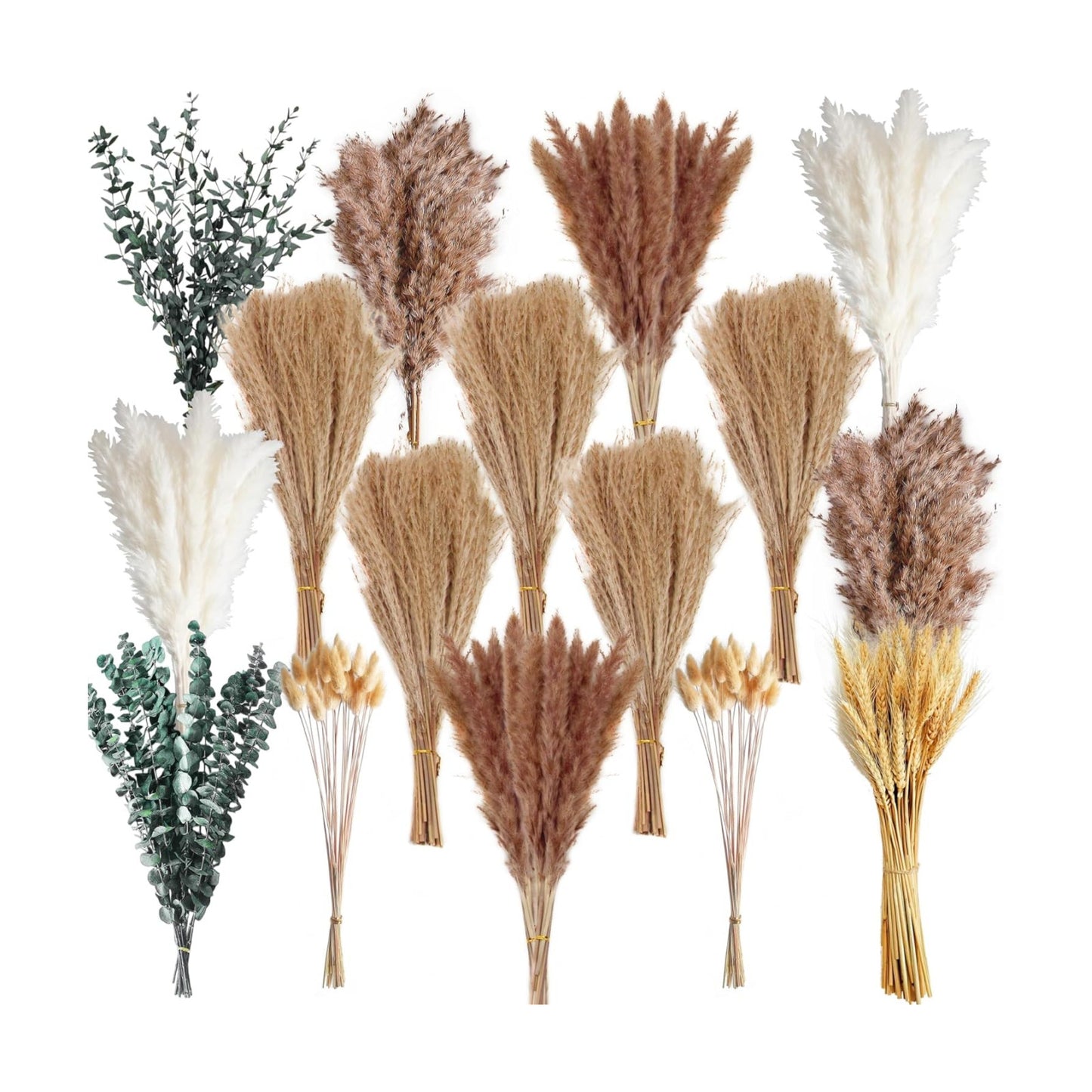 Pampas Grass & White Pampas Grass for Boho Baby Shower / Brown / Set of 355