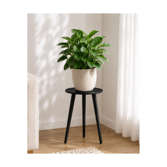 Bamworld Tall Plant Stand Indoor Wood Plant Table for Large Plant | Black Flower Stand Modern Plant Stool for Bedroom