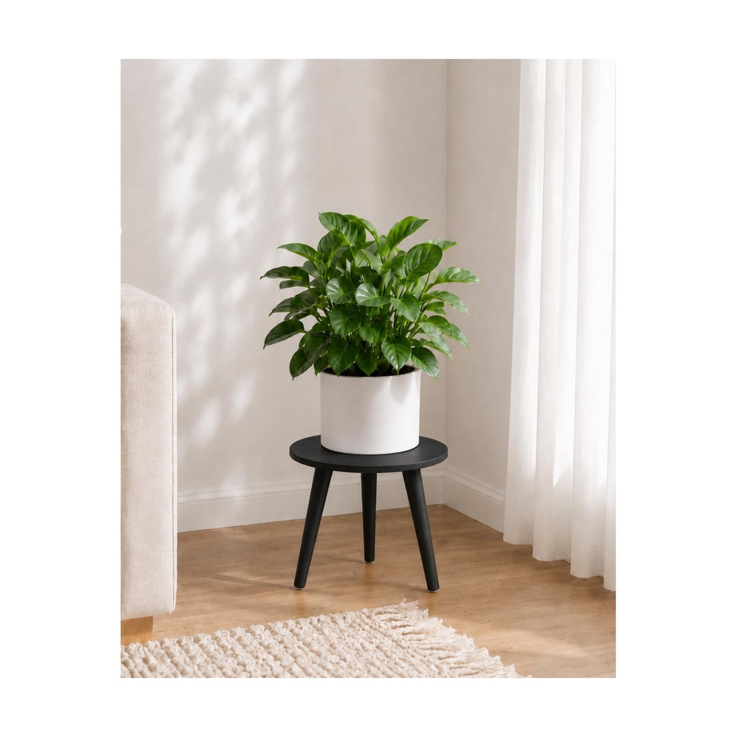 Plant Stand Indoor Small Plant Stand Wood Plant Stool Plant Table / Black Short