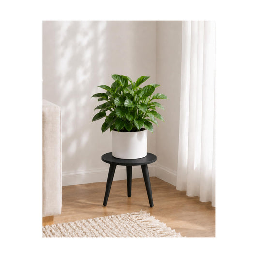Plant Stand Indoor Small Plant Stand Wood Plant Stool Plant Table / Black Short