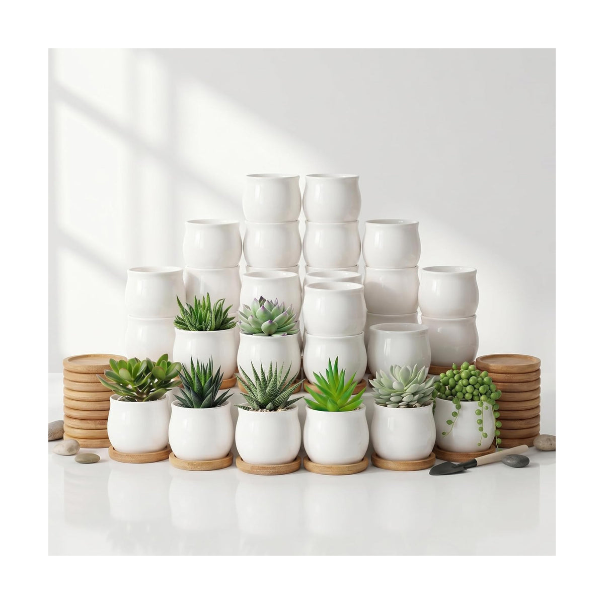 SHECIPIN 24 Pcs 2.5 Inch Small Succulent Pots with Drainage & Bamboo Trays - Assorted Small Succulent Planters Bulk for Home Office Garden Decor