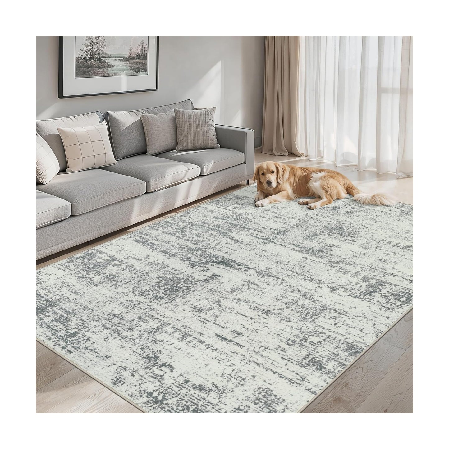 PLHXFR Area Rug Living Room: 4x6 Modern Abstract Washable Carpet Grey
