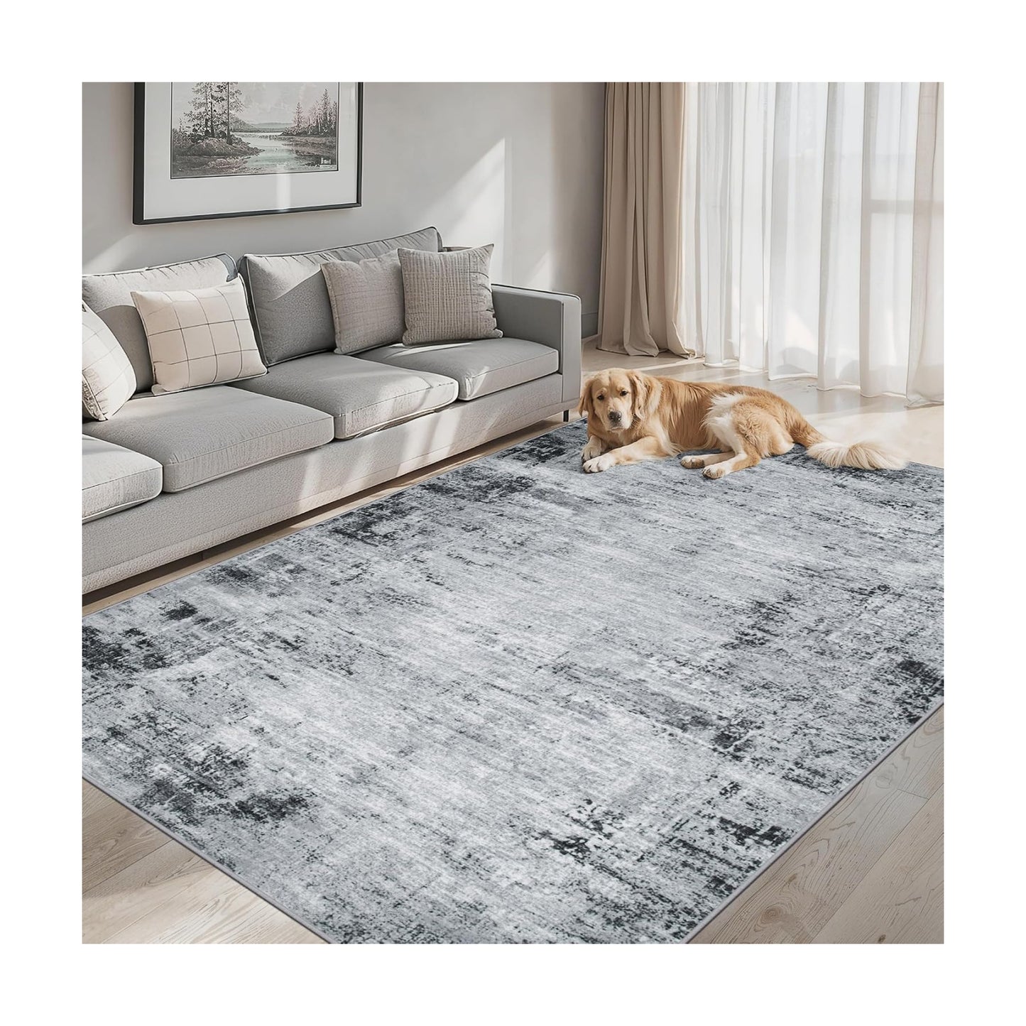 PLHXFR Area Rug Living Room: 5x7 Modern Abstract Washable Carpet Black