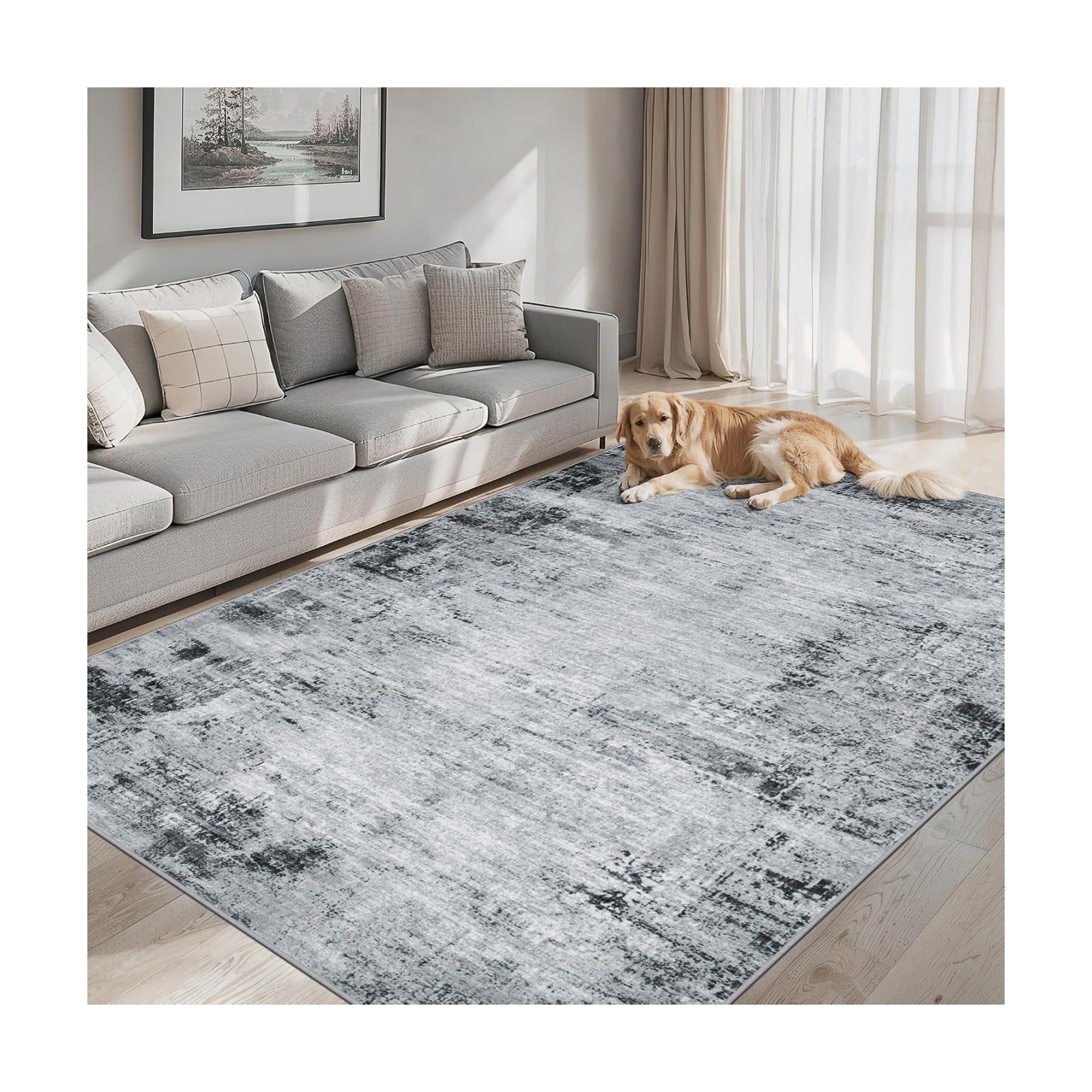 PLHXFR Area Rug Living Room: 5x7 Modern Abstract Washable Carpet Black