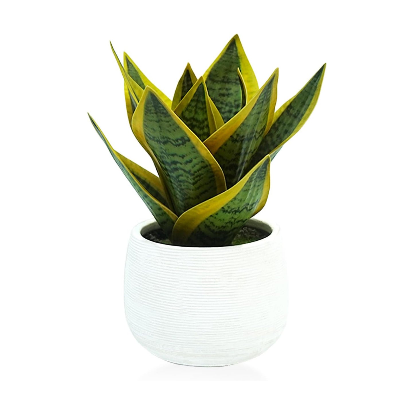 8" Fake Snake Plant & Faux Agave in Ceramic Pot / White