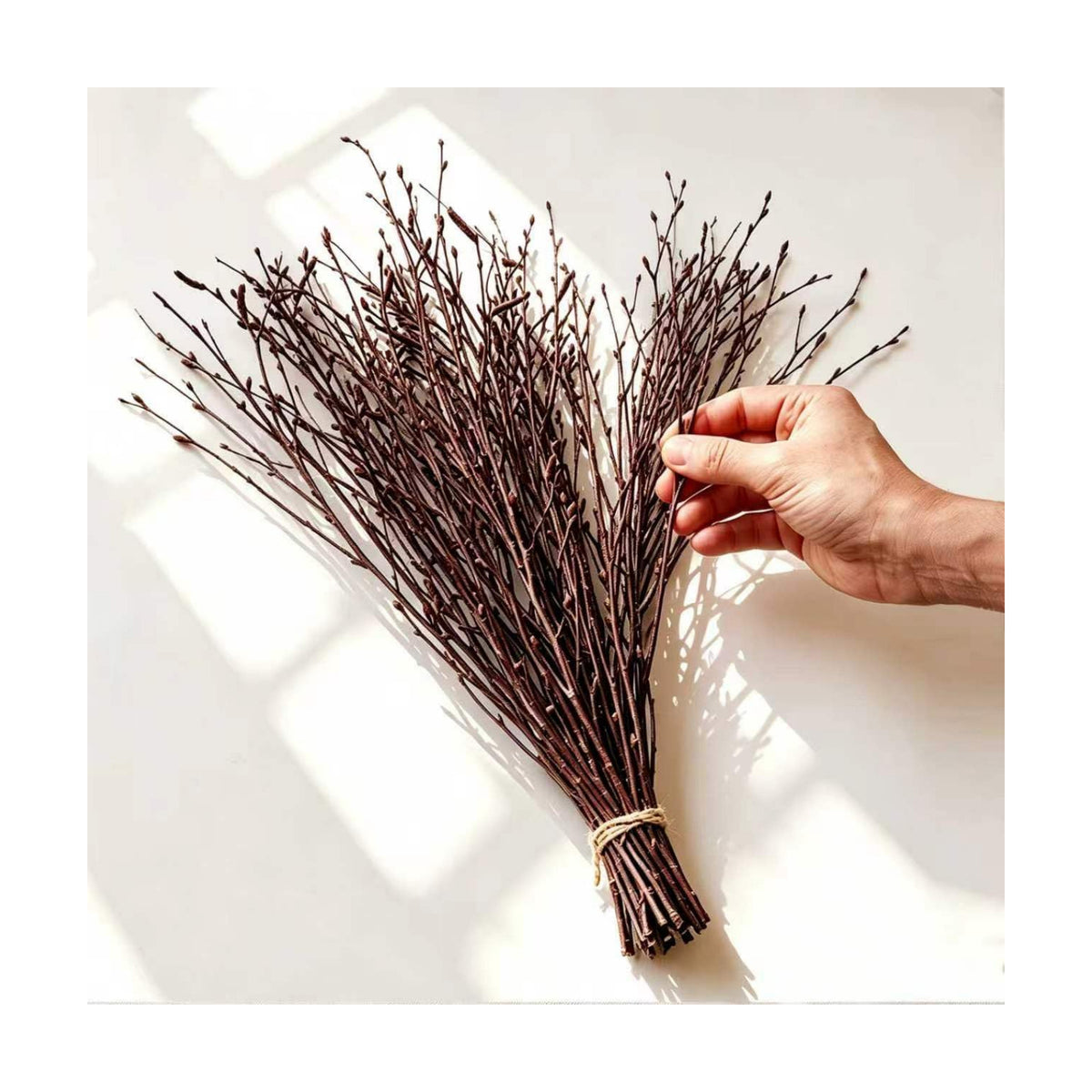 Natural Birch Branches, 50 Pcs Dried Twigs and Branches for Vases, 17" Tall Real Wood Sticks for Floor Vase Filler, Boho Rustic Home Decor, Wedding Centerpieces Arrangement