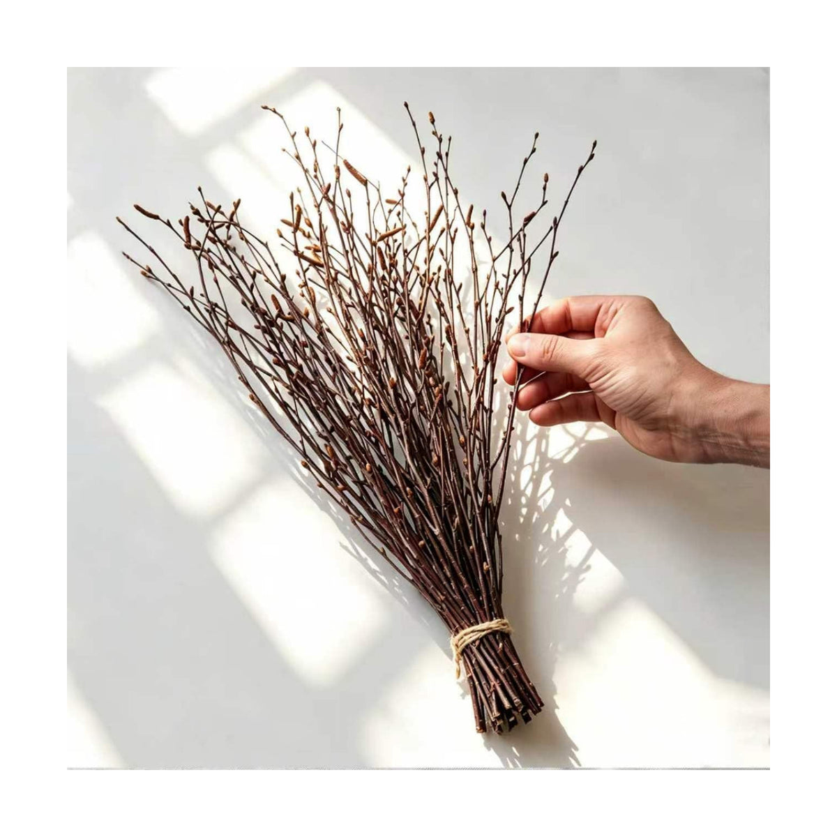 Natural Birch Branches, 30 Pcs Dried Twigs and Branches for Vases, 17" Tall Real Wood Sticks for Floor Vase Filler, Boho Rustic Home Decor, Wedding Centerpieces Arrangement