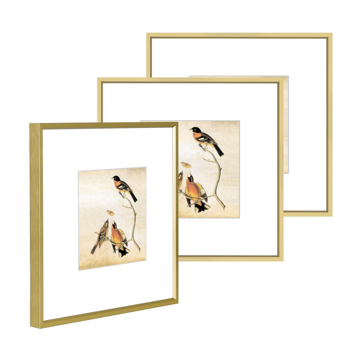 BKABOT 10x10 Brass Aluminum Picture Frame Fits 6x6 with Mat HD Glass 3 Pack | Thin brushed aluminum picture frames