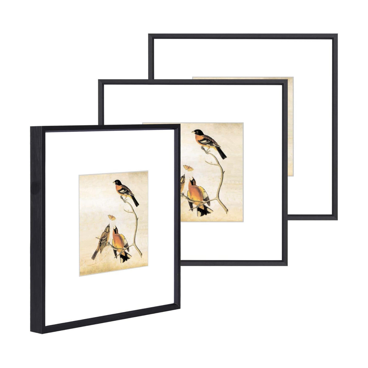 BKABOT 10x10 Black Aluminum Picture Frame Fits 6x6 with Mat HD Glass 3 Pack | Thin brushed aluminum picture frames