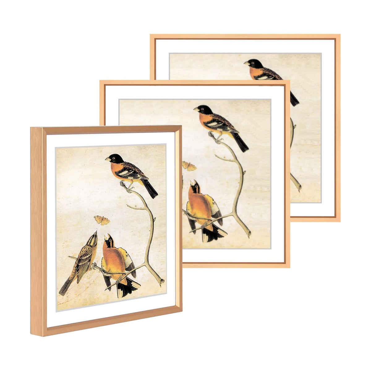 BKABOT12x12 Gold Aluminum Picture Frame Fits 10x10 with Mat HD Glass 3 Pack | Thin brushed aluminum picture frames